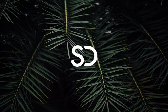 Logo für Sandra Deutsch, Systemische Beratung und Coaching, auf Hintergrundbild mit Palmblättern