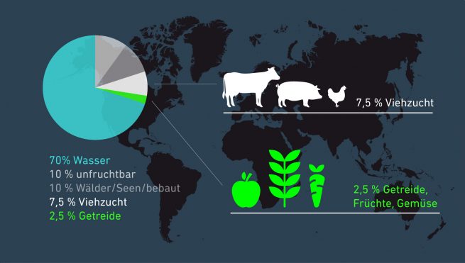 Infografik Anteile Viehzucht und Getreide an Erdoberfläche